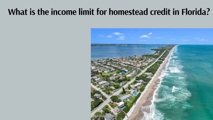 What is the income limit for homestead credit in Florida